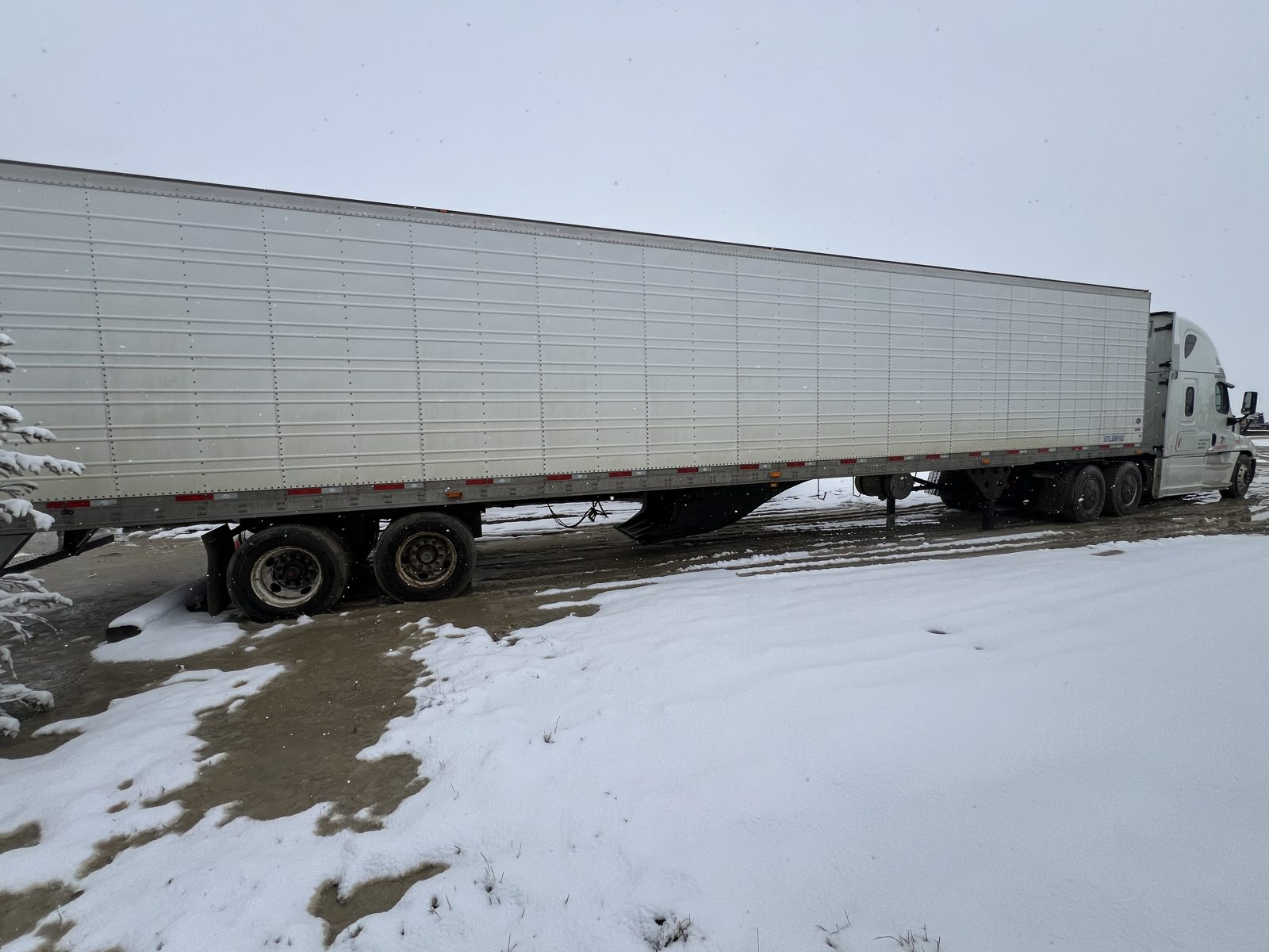 Freightliner tractor with a reefer trailer in the snow